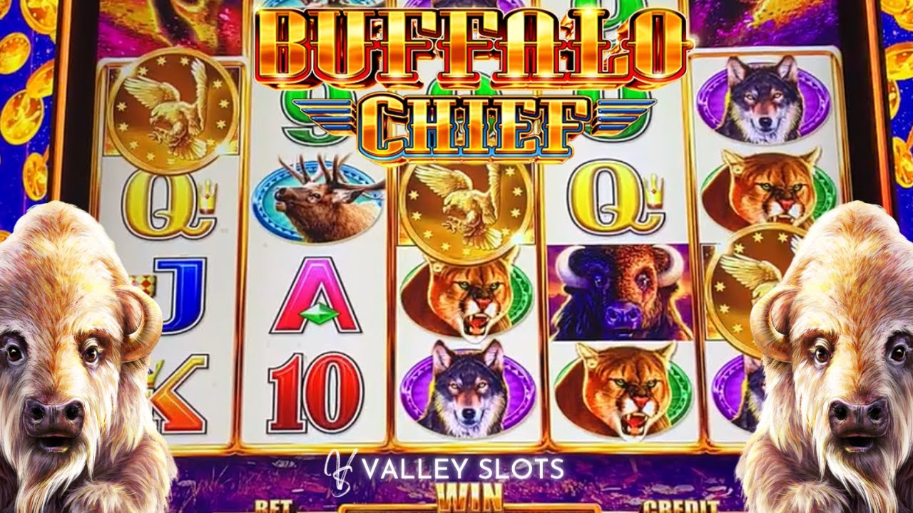 Started Bonus with 100 White Buffalo on Buffalo Chief Slot Machine