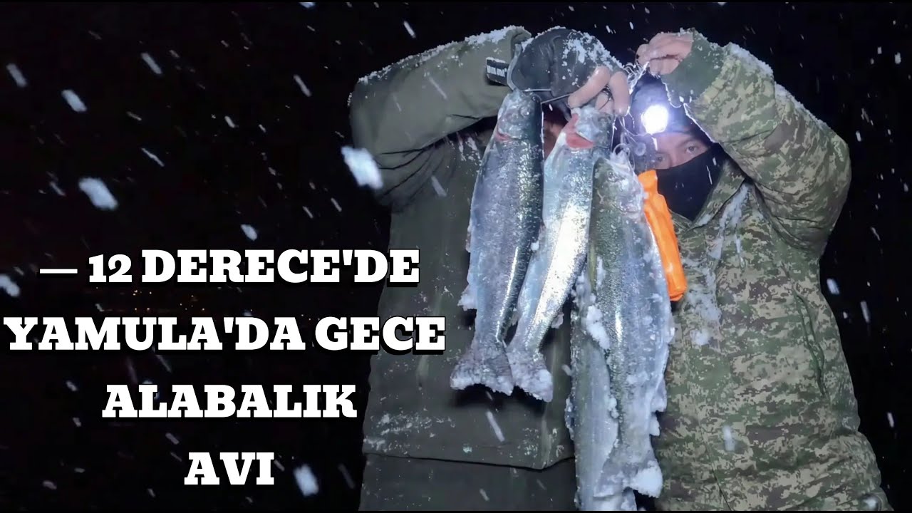 YAMULA BARAJINDA -12 C DE ALABALIK AVI #fishing #keşfet#reels#fish #animals #art #shortvideo#shorts