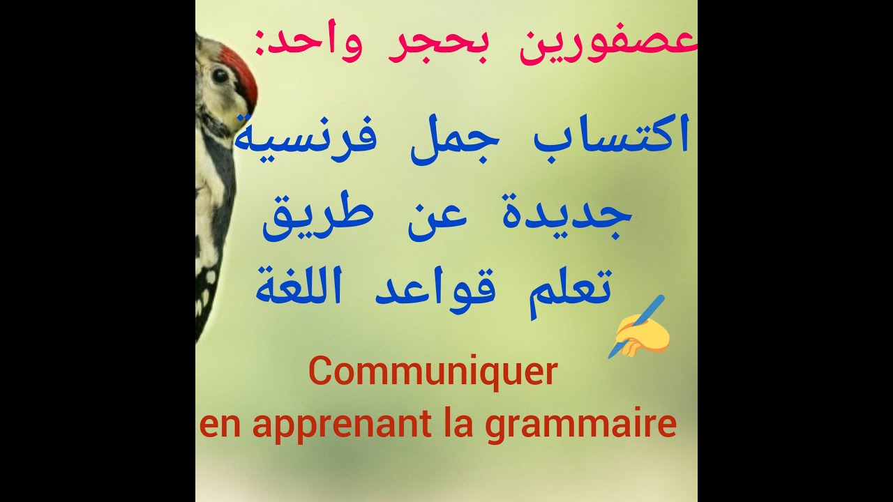 اكتساب جمل فرنسية جديدة عن طريق تعلم قواعد اللغة