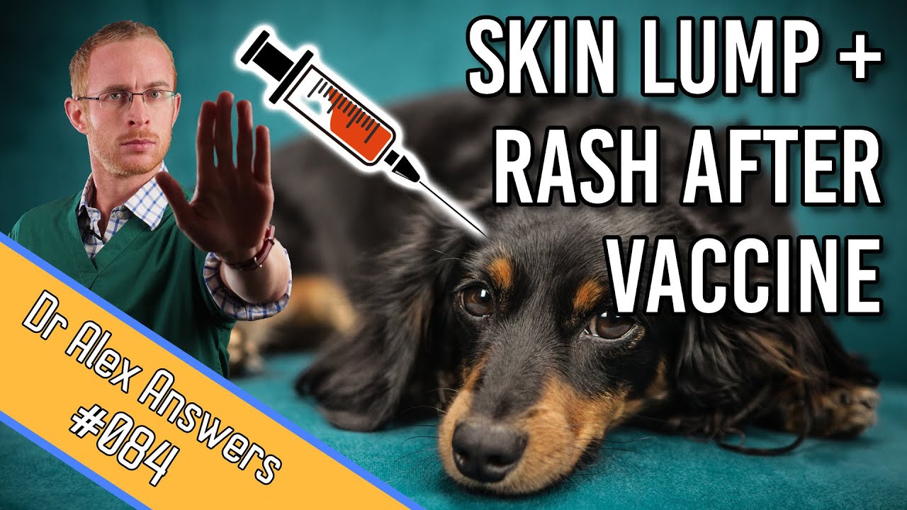 A Dog with Rash + Skin Lump after Vaccination - something to worry about?