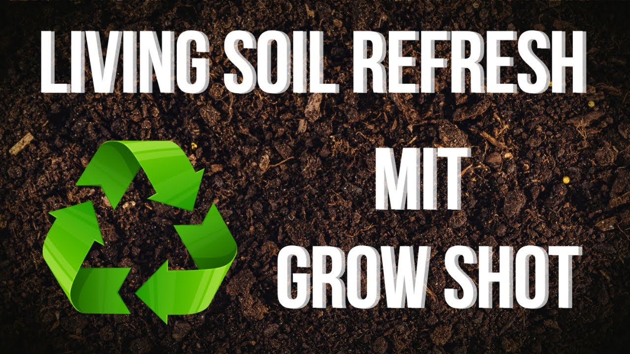 Living Soil Refresh 🌱 | So nutze ich Grow und Bloom Shot von Couple of Plants #420 #LivingSoil