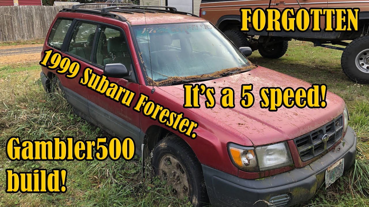 I Scored a Free FORGOTTEN 1999 Subaru Forester | Will it Run?