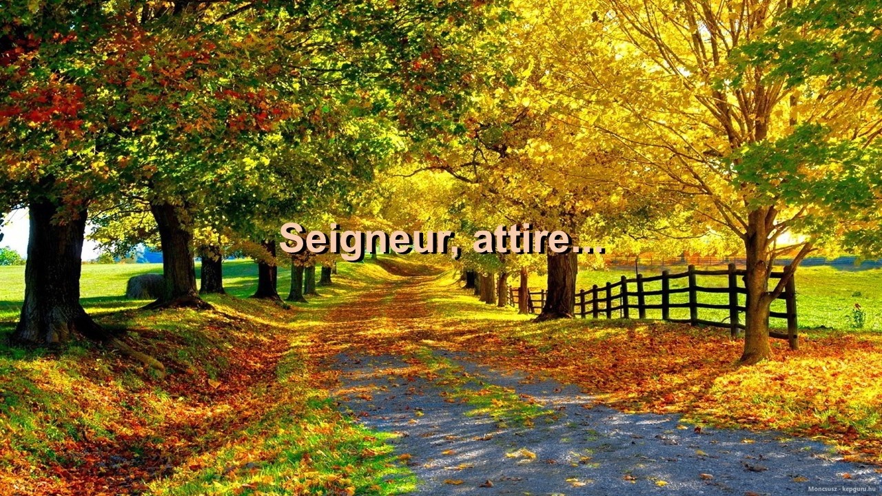 Seigneur, attire