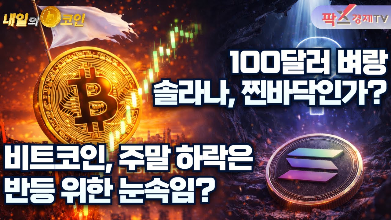 2월은 반등 성공?!···비트코인, 주말 하락은 눈속임 / 솔라나, 찐바닥인가 VS 지하실 초입 [260202 내일의 코인] (차태현,권지영)