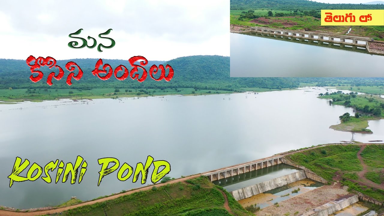 Kosini Dam | Beauty of Kosini | Kagaznagar | Kosini Pond | Areal View of Kosini | vlogsbykumar| 2020