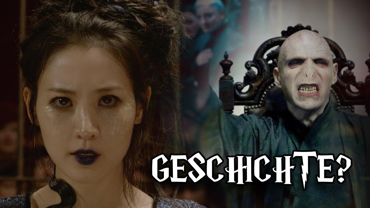 Die GESCHICHTE von VOLDEMORT und NAGINI!