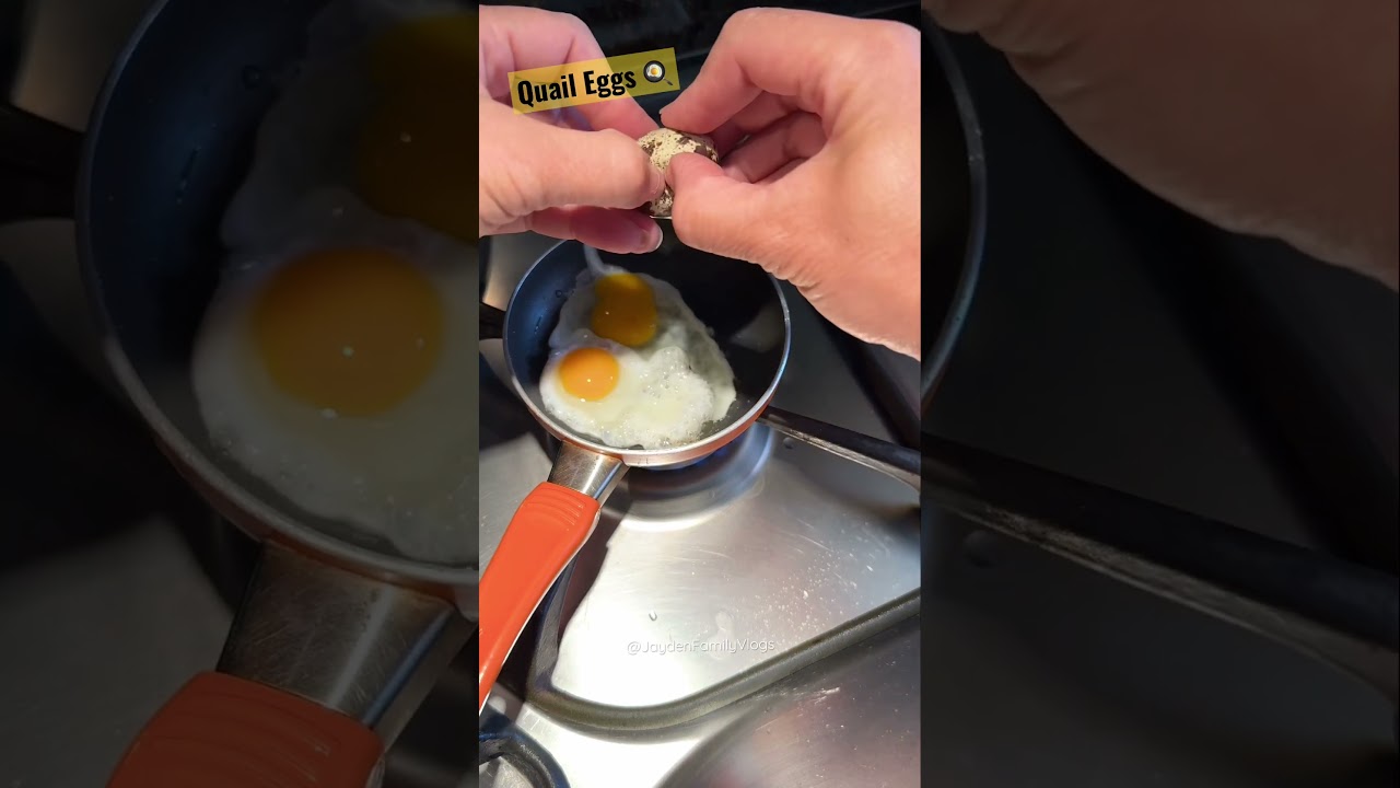Let&rsquo;s cook Quail Eggs 🍳🍳🍳 #shorts #egg #breakfast #food #tasty #youtubeshorts