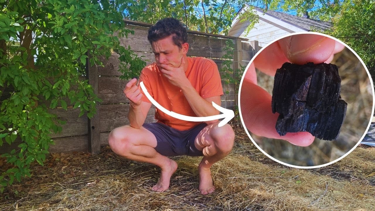 How to NOT Kill Your Garden with Biochar