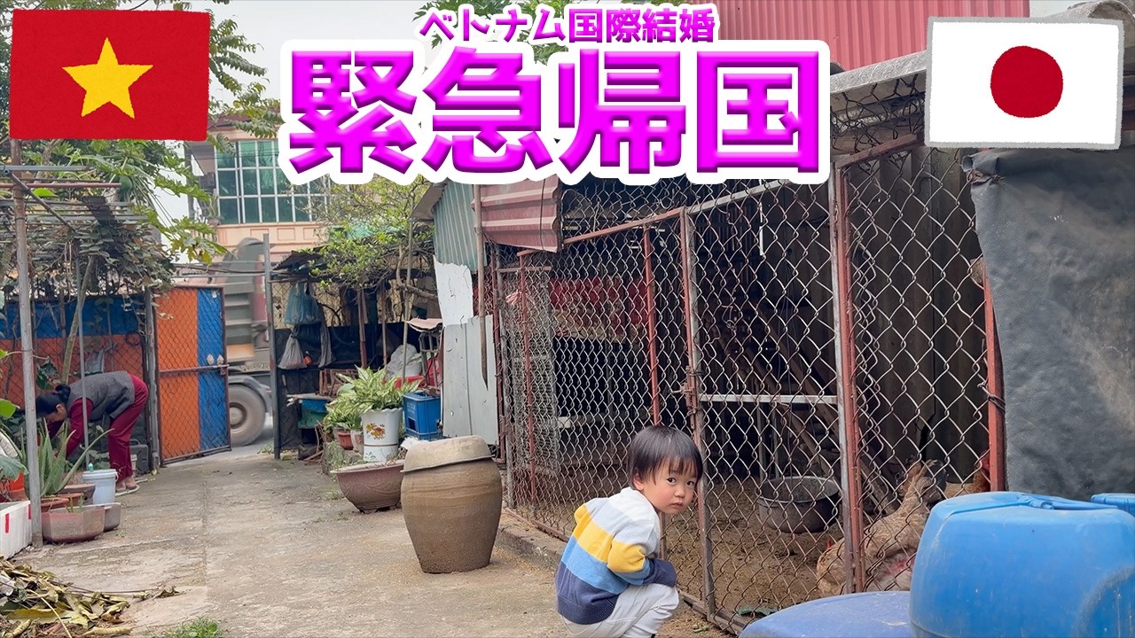 妻と子供が帰国しました【日本ベトナム国際結婚】