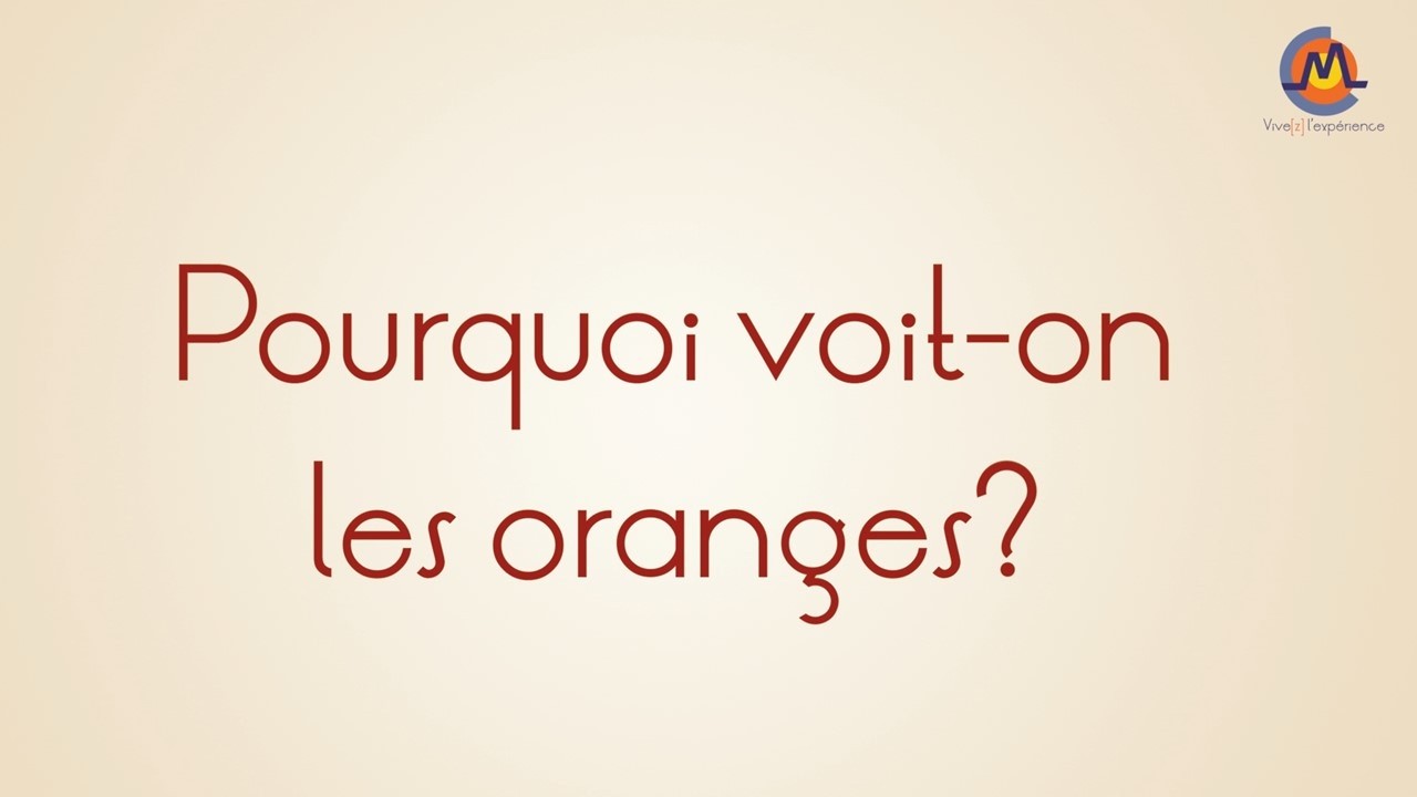 2. Pourquoi voit-on les oranges ?