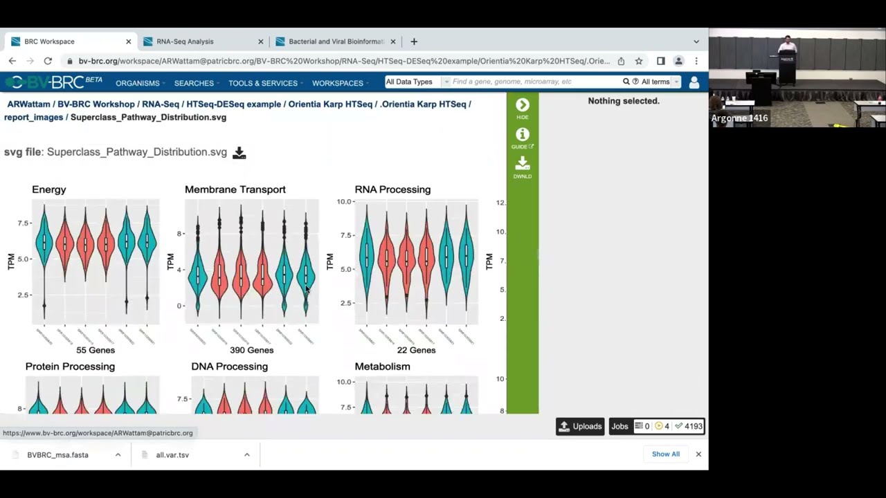 RNA-Seq Analysis Service