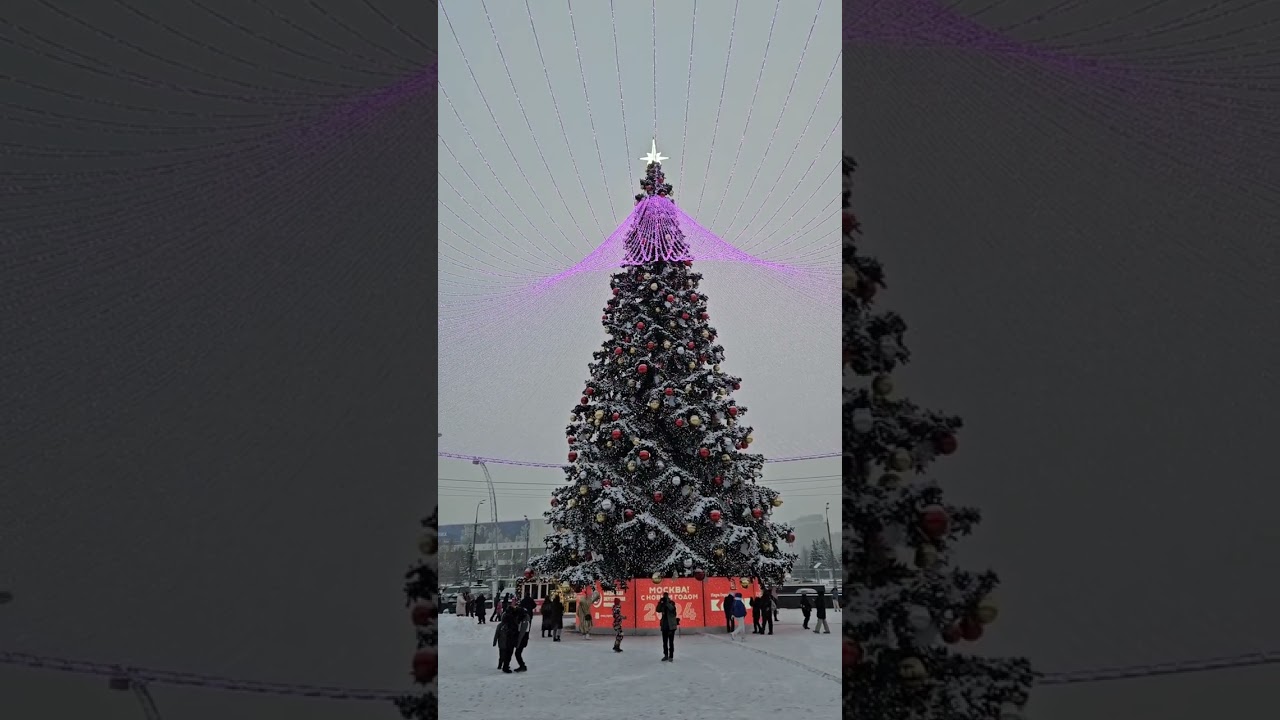 New Year 2024 in Moscow. Gorky Central Park of Culture and Leisure