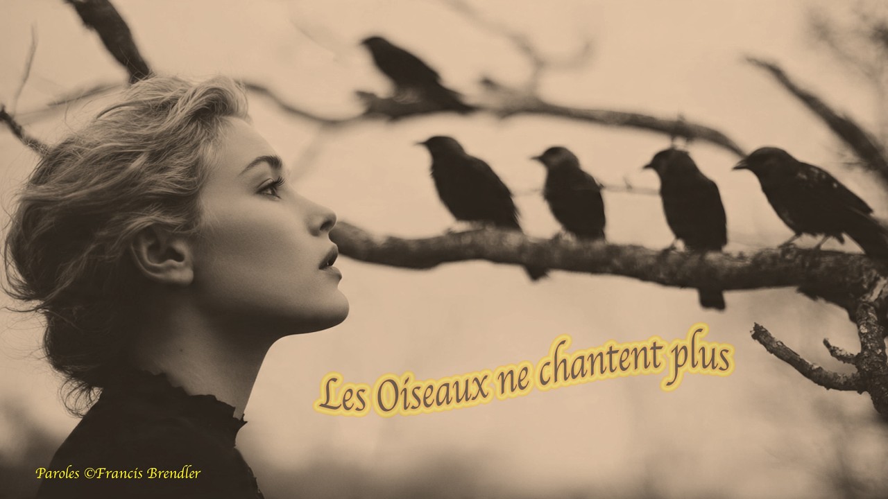 Les oiseaux ne chantent plus