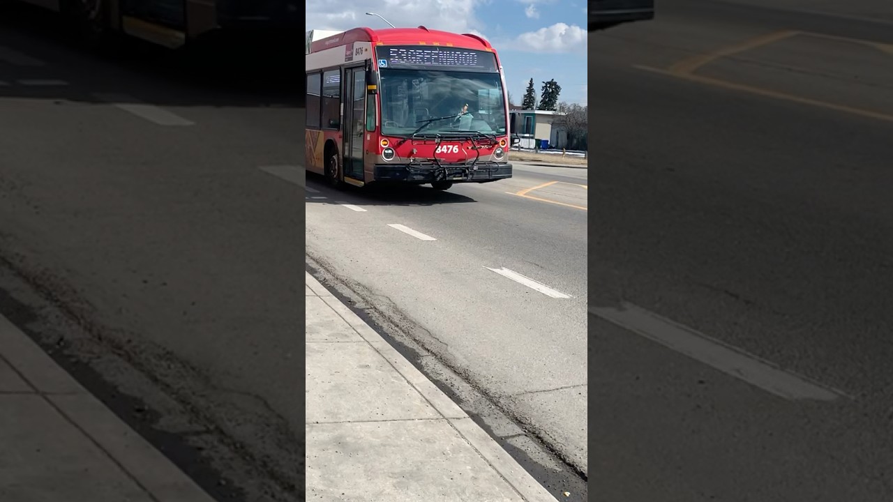 Novabus LFS CNG #8476 On Route 53 To Greenwood #transit #transitbus #calgary #yyc #shorts #fyp