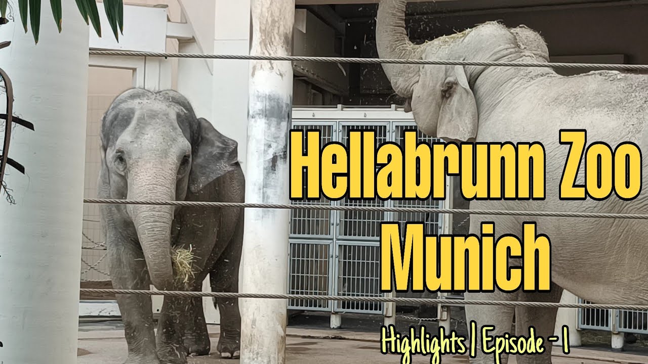 Hellabrunn Zoo Munich | Tierpark Hellabrunn in München | Munich Zoo | highlights | Episode-1