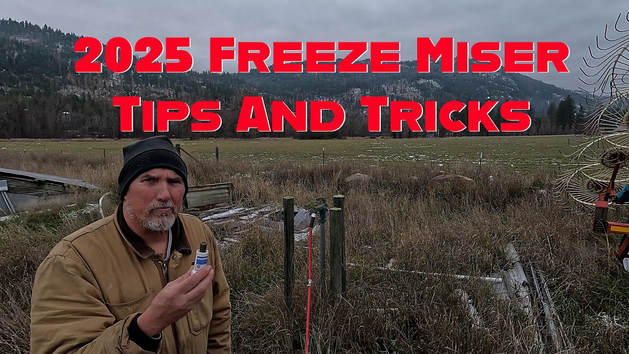Советы и рекомендации по использованию Freeze Miser в 2025 году