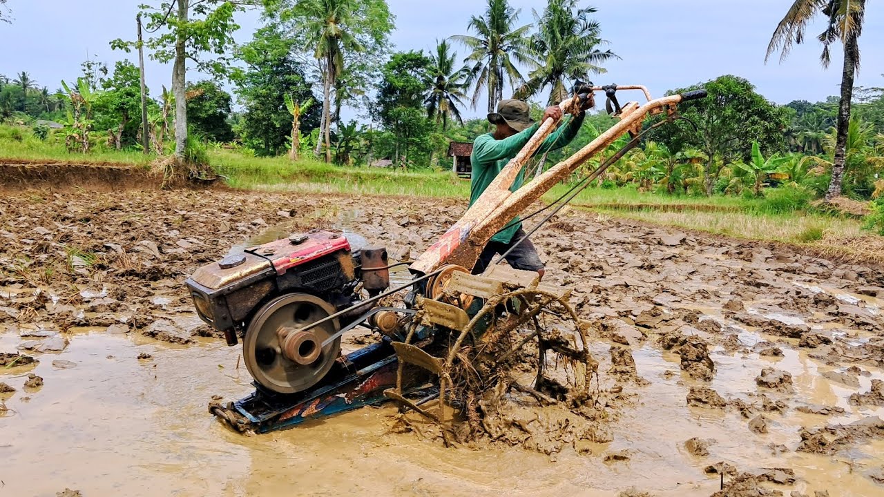 Bermanuver Saat Putar Arah Di Tengah Sawah