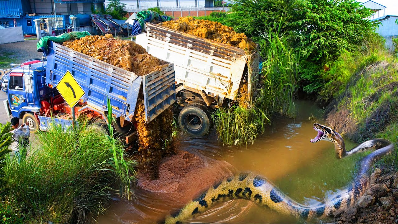 Wonderful New Action! Heavy Dump Truck 5Ton and Bulldozer D31P Landfill Delete Flooded Pond