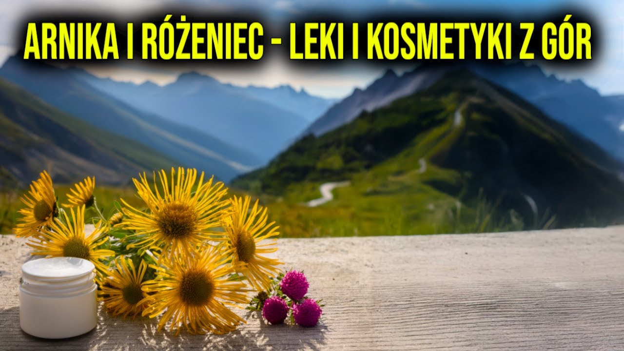Arnika i różeniec - leki i kosmetyki z gór