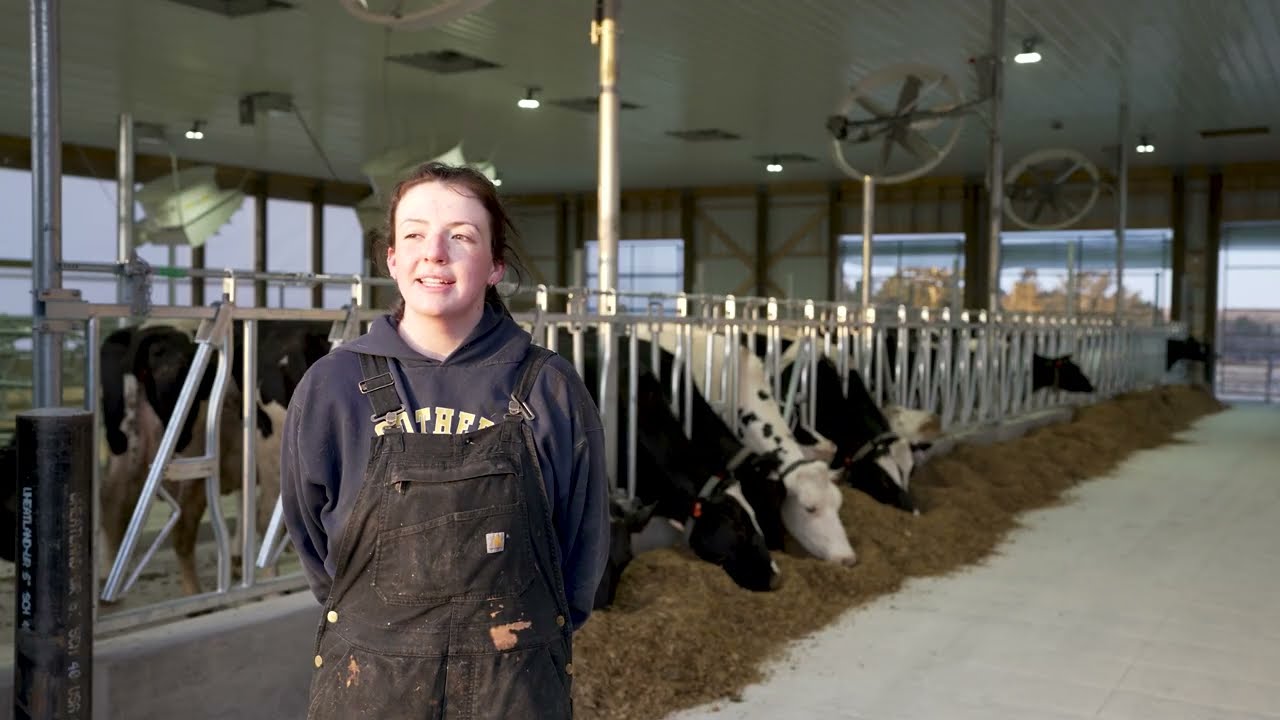 J .F.  Witter Teaching and Research Center - New Dairy Barn with Robotic Milker