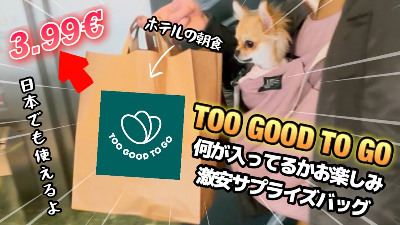 中身がわからなくてワクワクするアプリToo good to goが【ヨーロッパ節約術】海外旅行でも！
