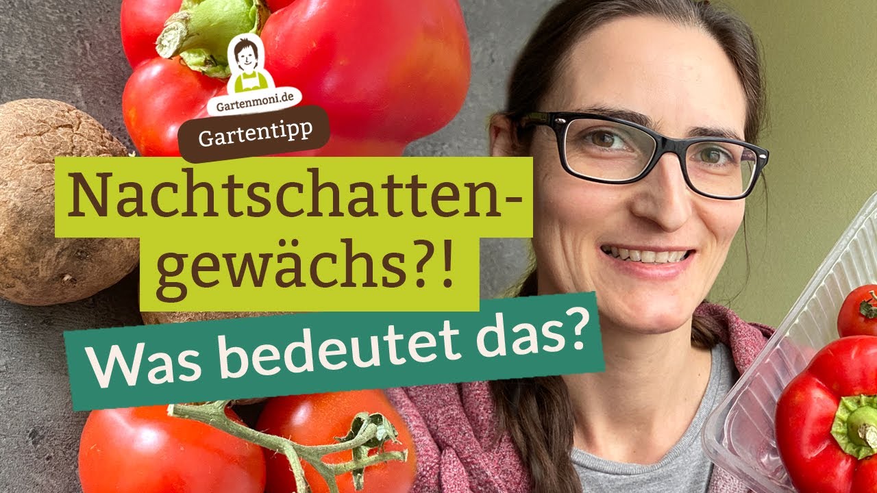 In der Nacht wachsende Pflanzen?! Was sind Nachtschattengewächse und warum heißen sie so?