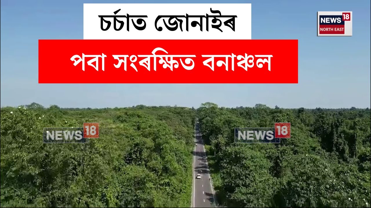 Poba Reserve Forest : বিশ্ব পৰ্যটন দিৱসৰ দিনাই চৰ্চাত জোনাইৰ পবা সংৰক্ষিত বনাঞ্চল | N18V