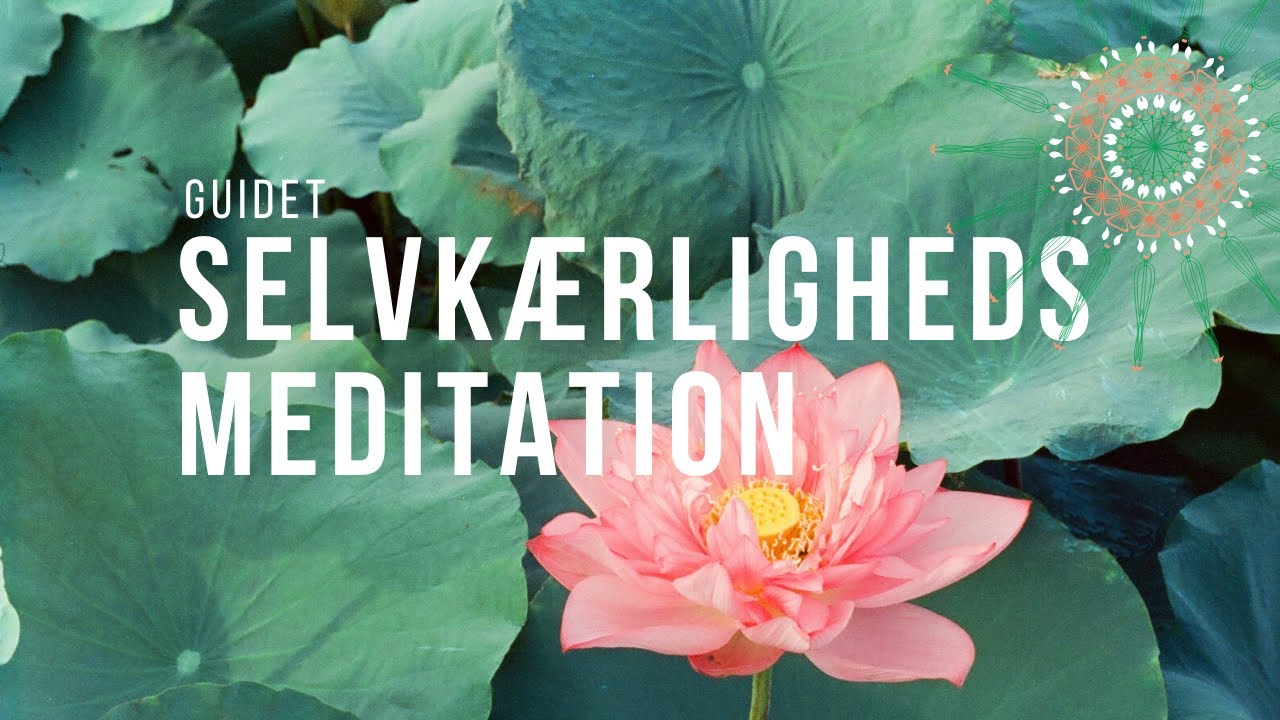 🧡 GUIDET Selvkærlighedsmeditation ~  guidet af Pia Loumari Beck