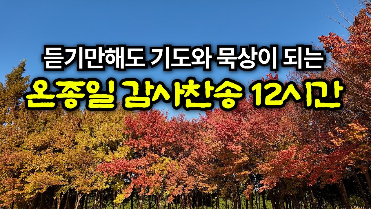 은혜로운 감사 찬양모음 하루종일 몰아듣기 |찬송12시간 | 지금까지 지내온 것 | 하나님의 은혜가 가득한 찬양 모음 | 유튜브 최고의 찬송가 시리즈 | Hymn collection