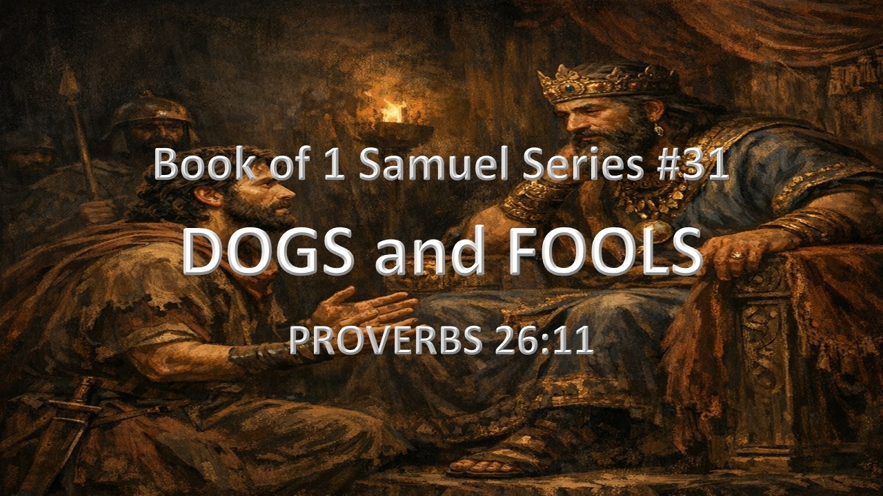 Dogs and Fools
