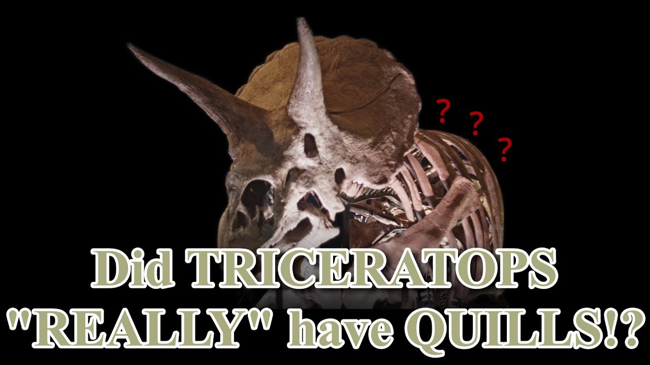 Controversial Triceratops Quill/Feather Theory EXPLAINED (and more)