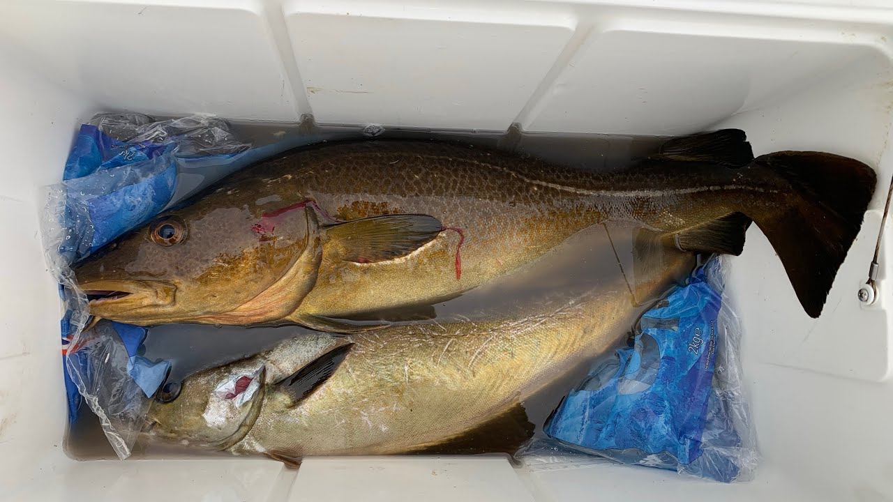 Spearfishing UK 2024