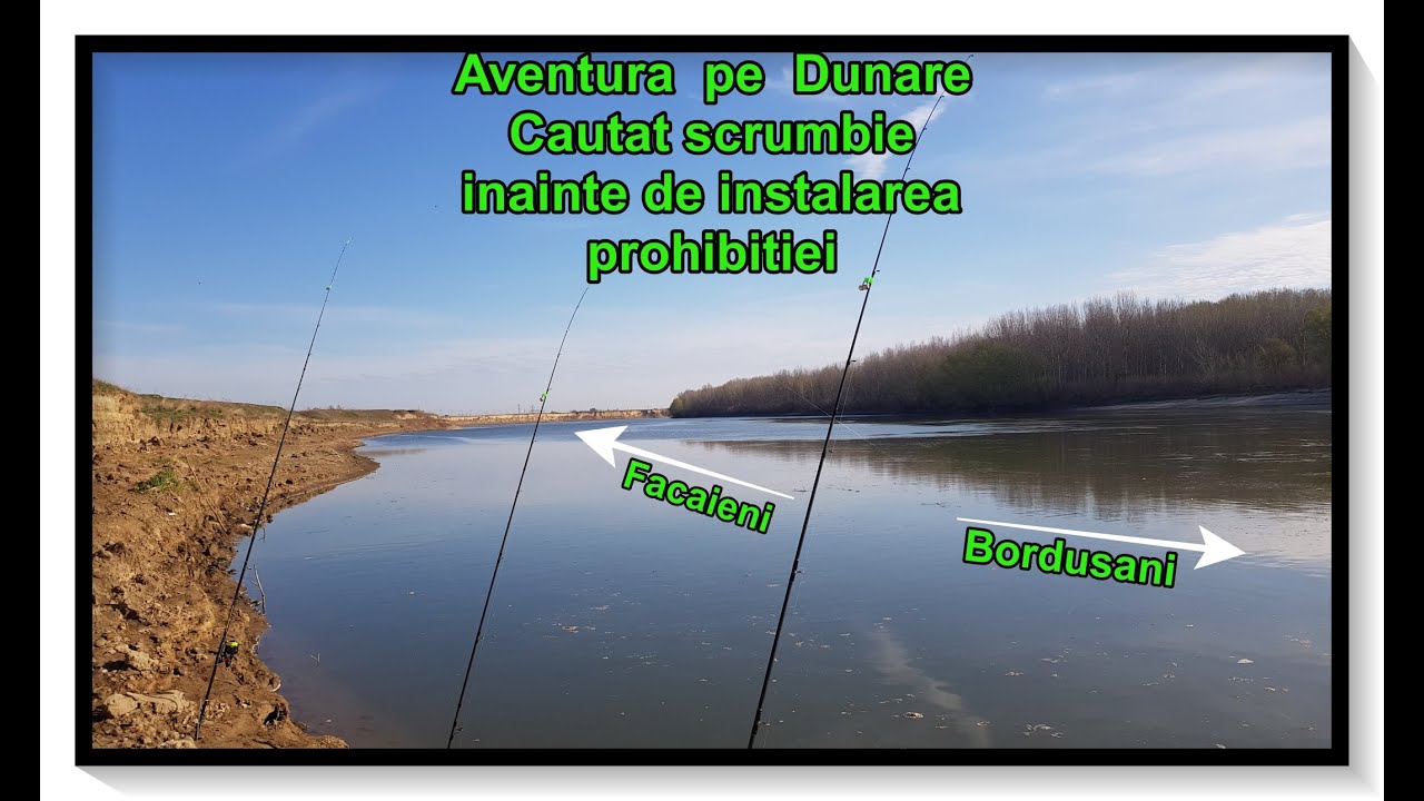 #Pescuit pe #Dunare, in cautarea #scrumbiei...aventura incheiata pe canalul  Frasinet, la #carasi.