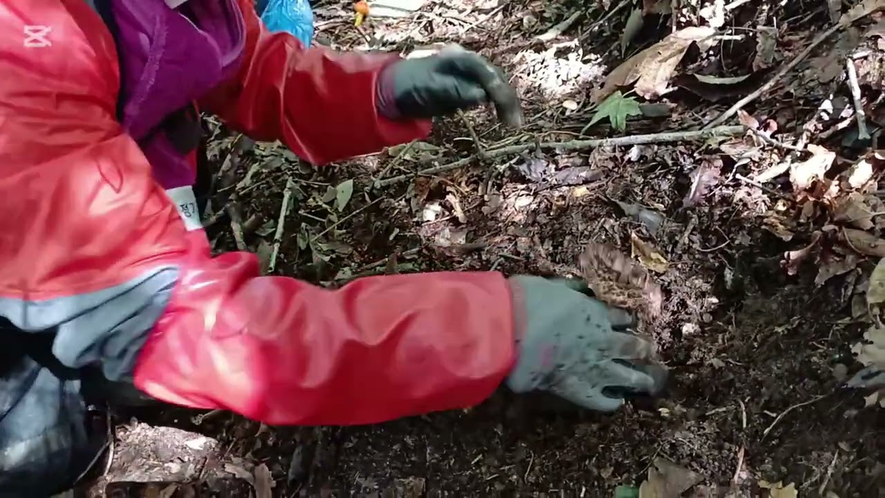  무진장 개척산행 줄능이 대박쳤어요 