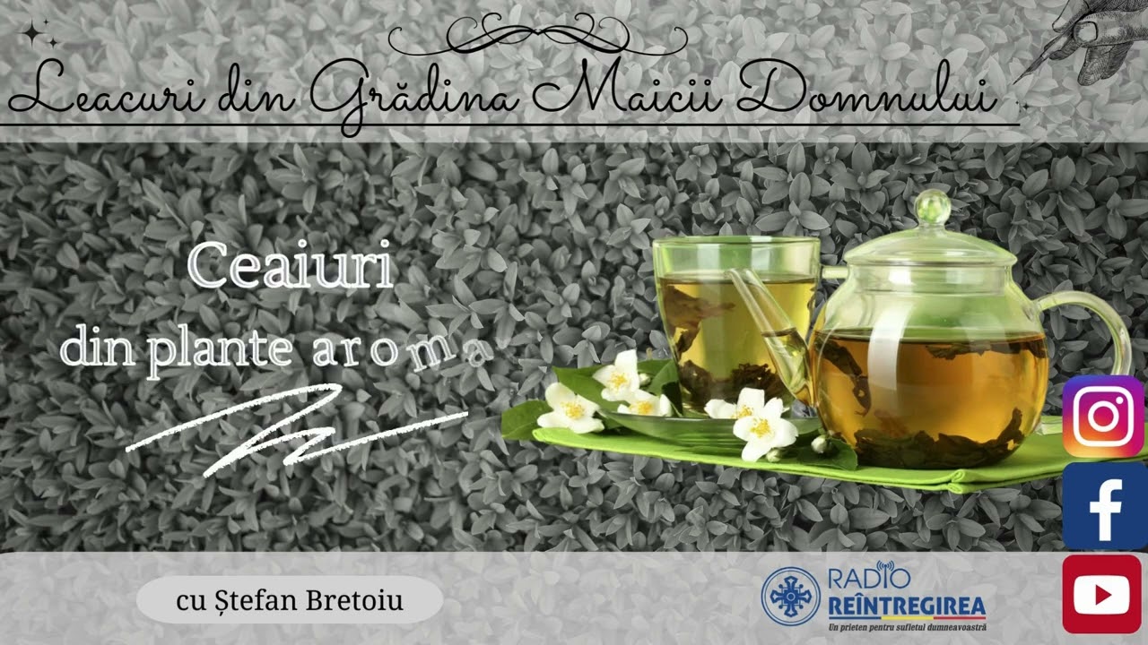 Leacuri din Grădina Maicii Domnului - Ceaiuri din plante aromatice