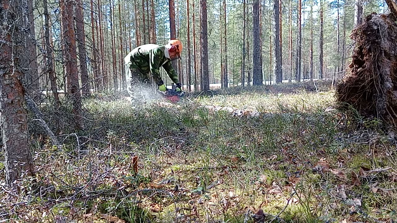 Jonsered 2041 Classic Turbo in action