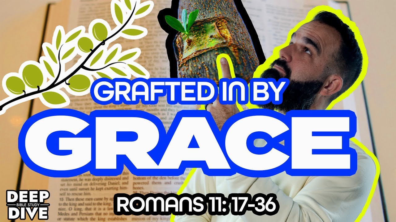 Послание к Римлянам 11:17-36: Объяснение/смысл &ndash; Привитые благодатью