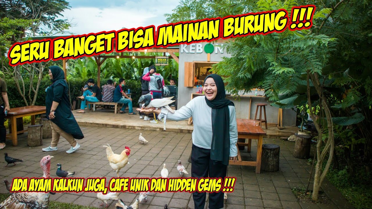 CAFE KEBON YANG TERSEMBUNYI, CUMA DI SINI CAFE YANG PELIHARA AYAM KALKUN || #kupascafe