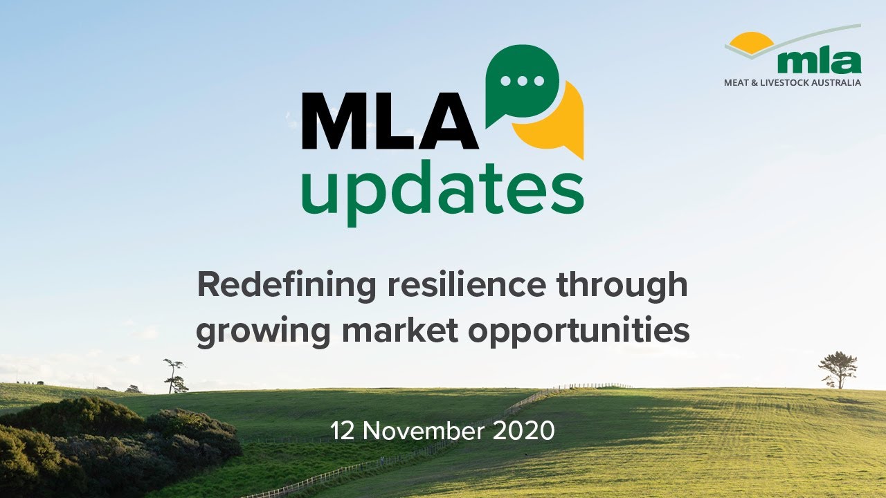 MLA Updates: Redefining resilience through growing market opportunities
