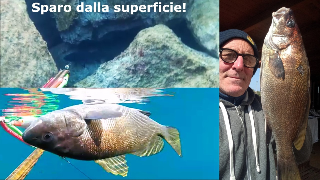 Pescasub: Bella sorpresa in un metro di fondo