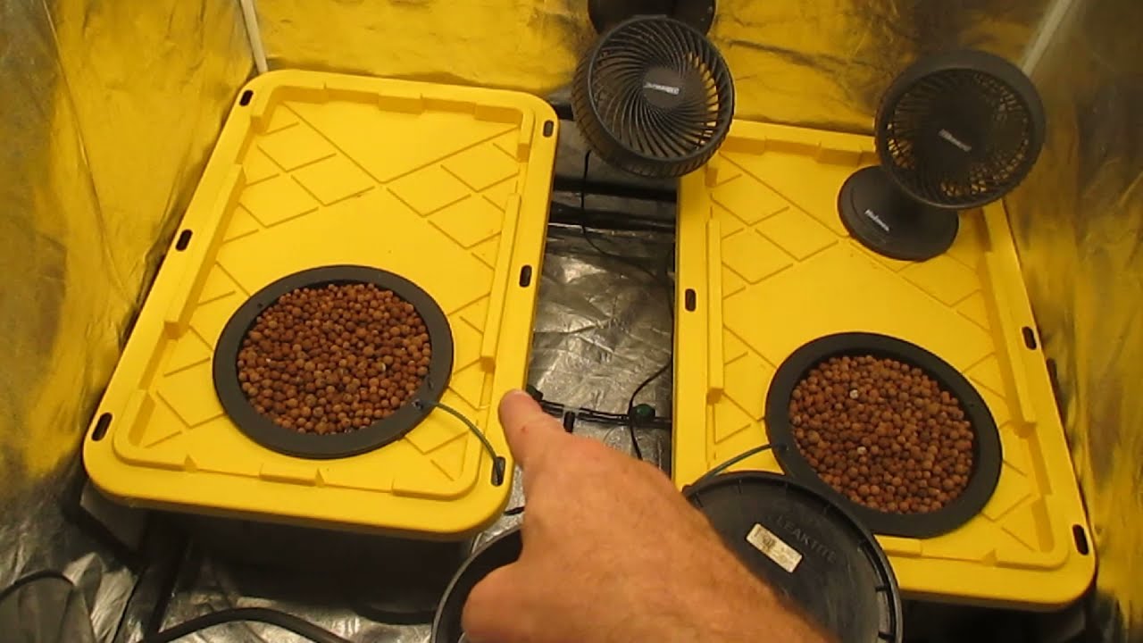 DWC Hydro system change over