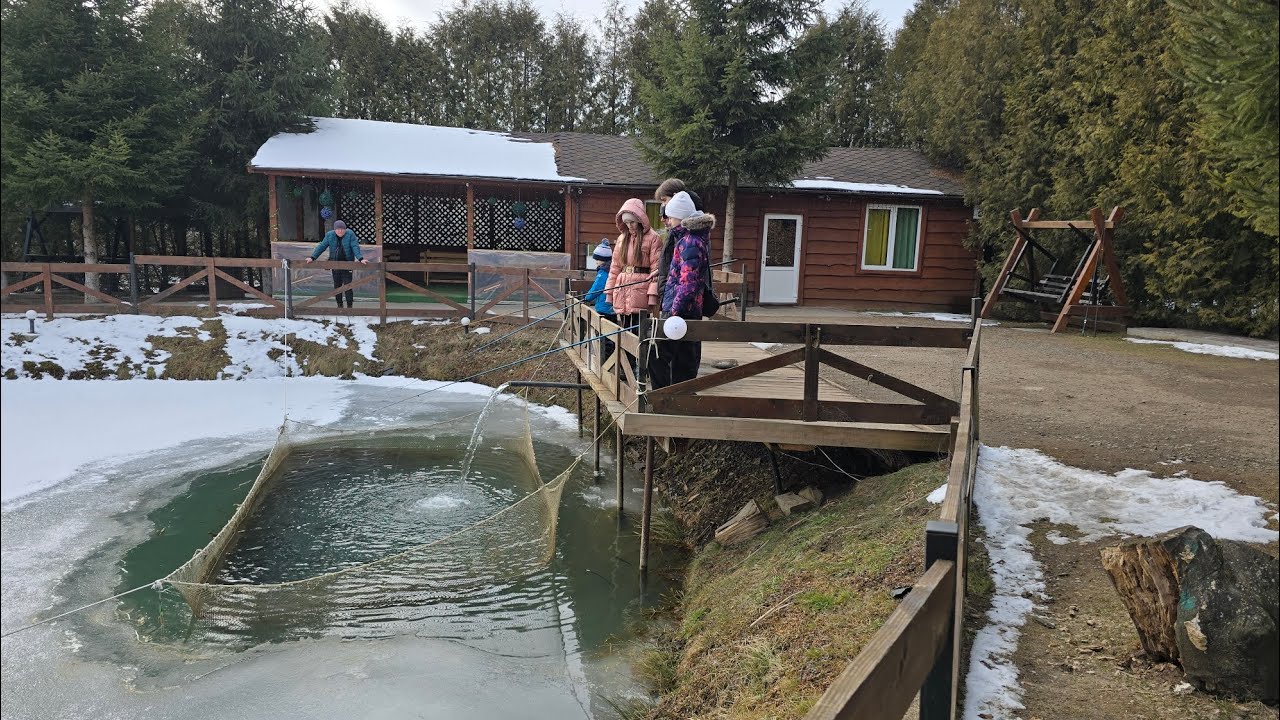 СХІДНИЦЯ 22.02.25 Прогулка лісом. Форельник.  18 джерело. 3 та 1 джерело 💦