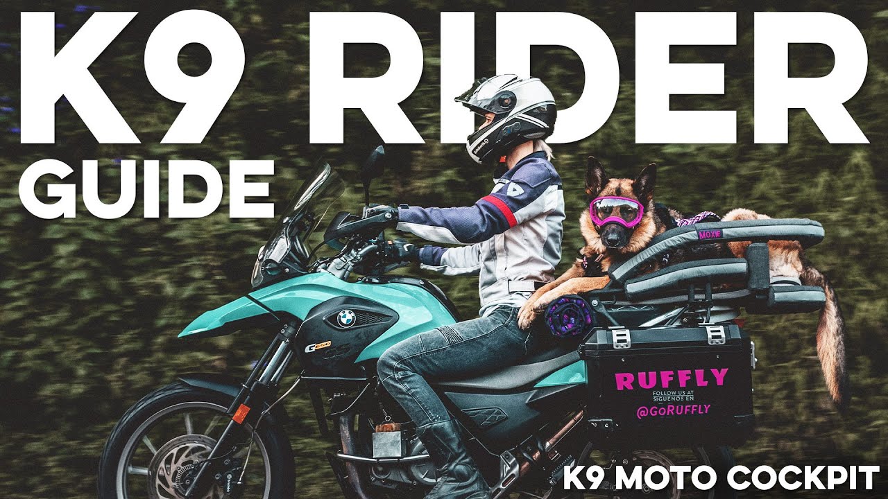Как перевозить собаку на мотоцикле – переноска для собак K9 Moto Cockpit | Руководство по выбору ...