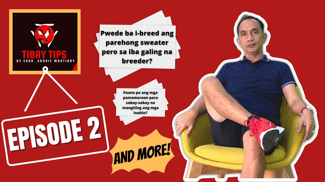 TIBAY TIPS (Ep. 2) - Iba't-Ibang Katanungan, Bibigyan Natin ng Kasagutan