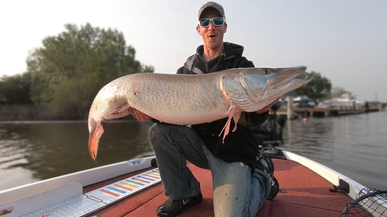 The Pursuit of Musky Fishing (2020 Highlight Video)