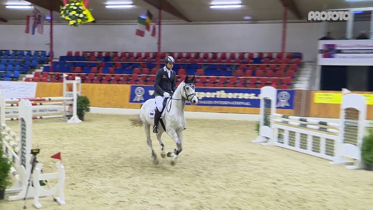 Patrick Meyn mit Cyrano Hallenchampionat Vechta 2016