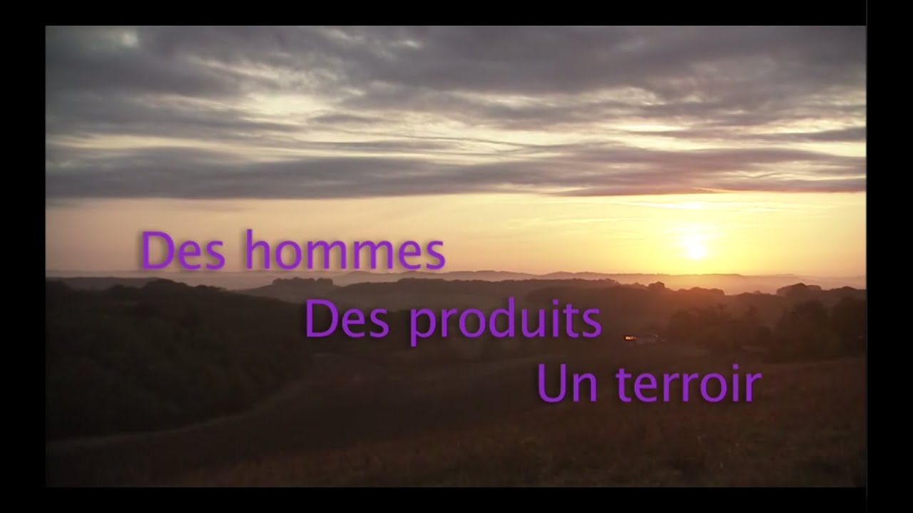 Vivadour - Le film des 20 ans