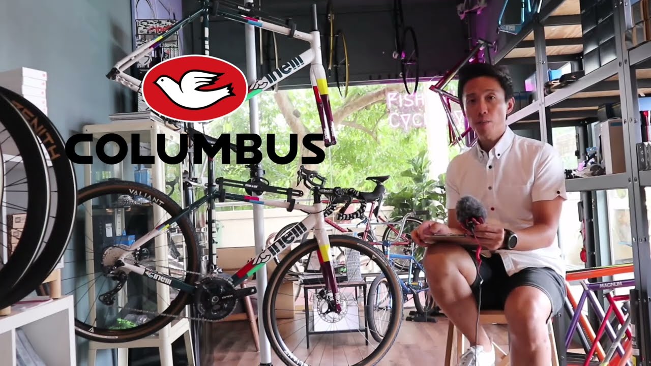 CINELLI Zydeco 2023 Frameset Review/ Introduction
