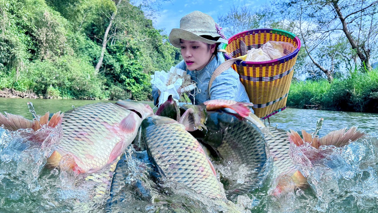 Traditional Fishing Skills - Single Mother Catches Giant Carp Using Square Traps In A Cool Stream