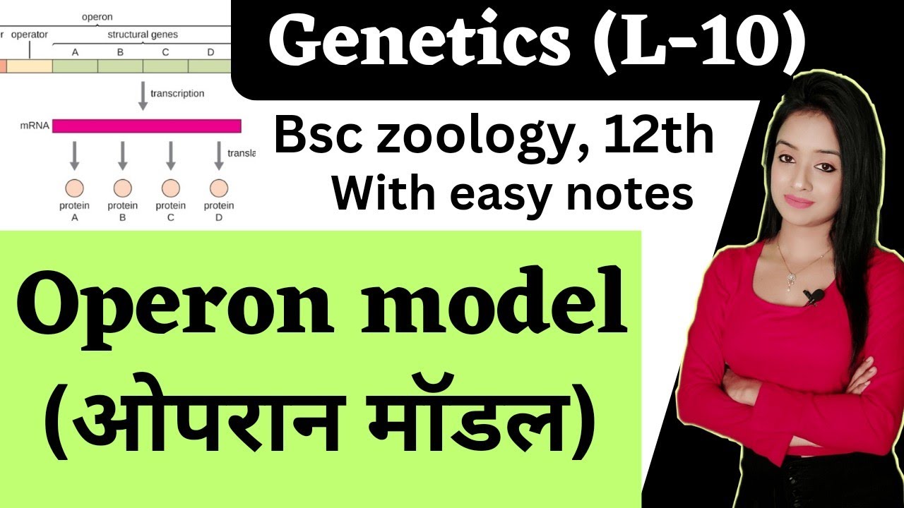 genetics (L-10),operon model in Hindi, bsc 3rd year zoology, knowledge adda, lion batch